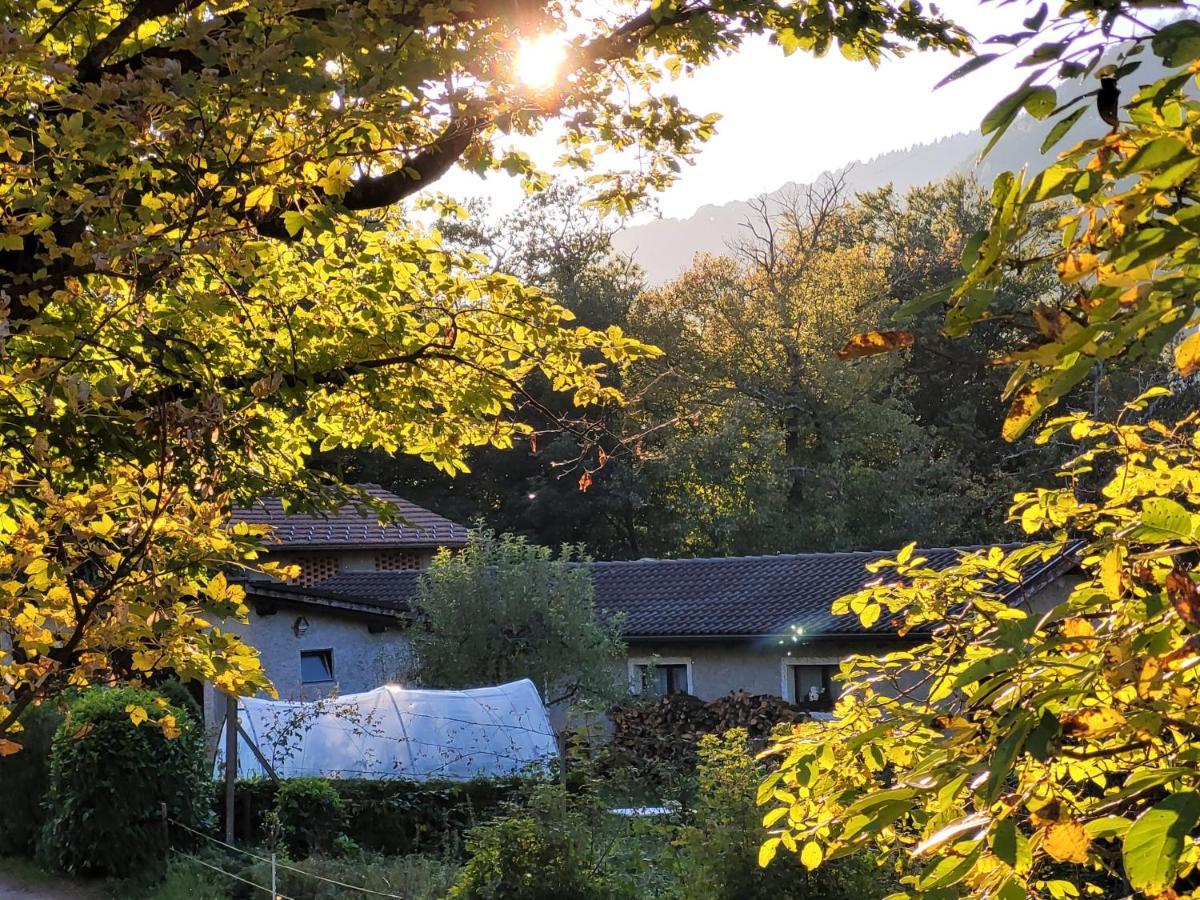 Appartamento Casa Huerlimann Breno Esterno foto